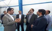 معاون وزارت صنعت از 6 طرح صنعتی البرزبازدید کرد